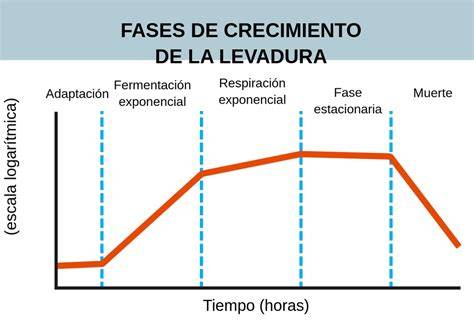 Gráfico comparativo de la actividad de la levadura a diferentes temperaturas