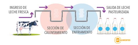 Esquema del proceso de pasteurización suave de la leche