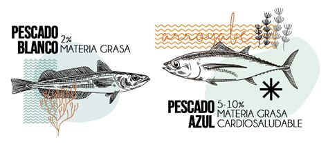 Ilustración de pescado blanco y pescado azul