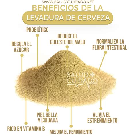 Esquema de las propiedades nutricionales de la levadura de cerveza