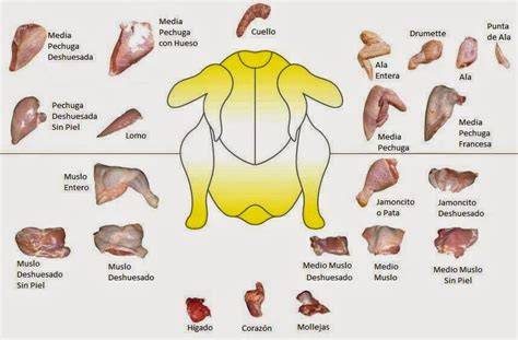 Partes del pollo para cocinar