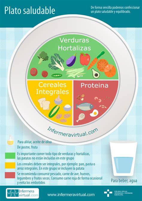 Infografía sobre la estructura del plato saludable