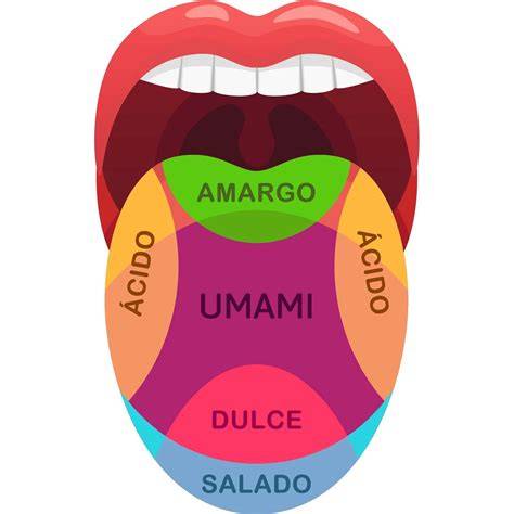 Gráfico que muestra la relación entre el sabor umami y el aumento del apetito.