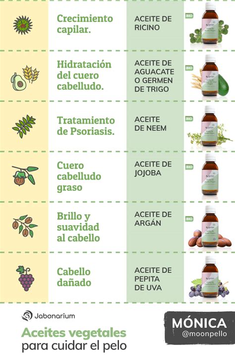 Comparativa de aceites capilares y sus ingredientes