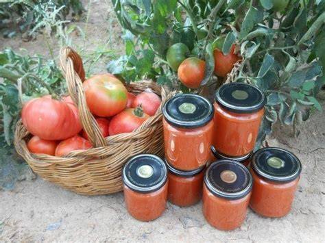 Botes de conserva de tomate casero