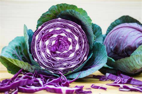 Col lombarda fresca y cortada mostrando su color morado vibrante.