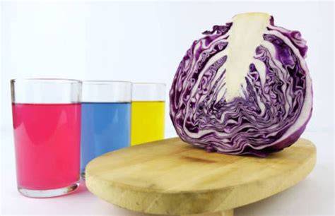 Ilustración mostrando el cambio de color del agua de cocción de la col lombarda en diferentes rangos de pH.
