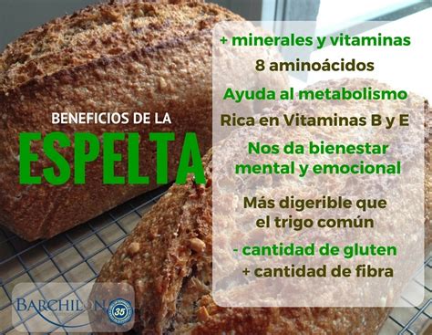 Infografía sobre los beneficios del pan de espelta para la salud
