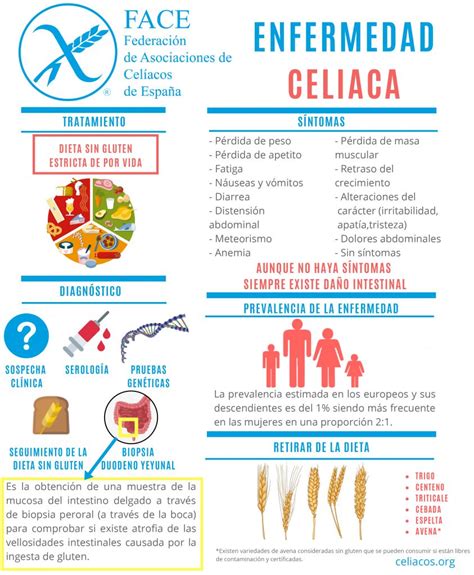 Infografía sobre la celiaquía y la intolerancia al gluten