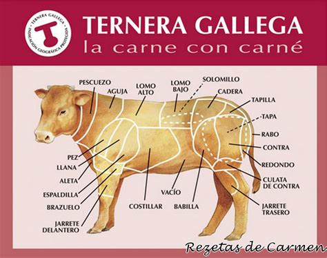 Infografía cortes de ternera