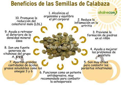 Infografía: Beneficios de las semillas de calabaza para la salud