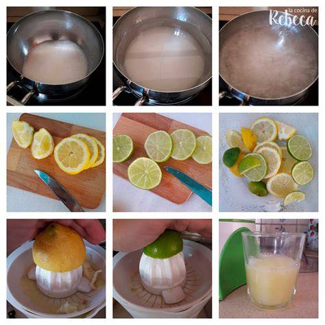 Receta visual: Pasos para preparar agua de berenjena con limón