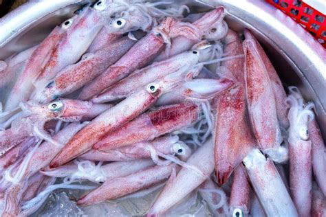 Sepias frescas en un mercado de pescado