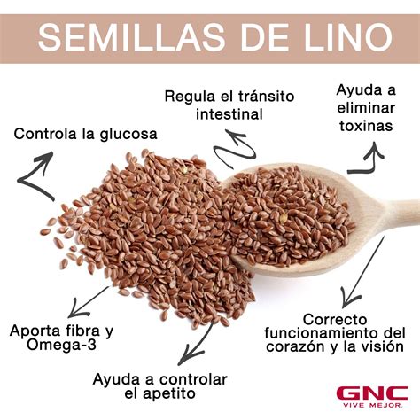 Ilustración de los beneficios para la salud de las semillas de lino