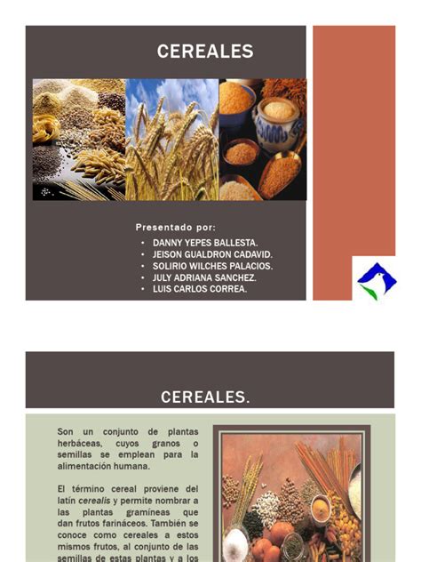 Clasificación de tortitas de cereales