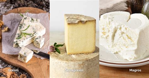 Comparativa de contenido graso en tortitas