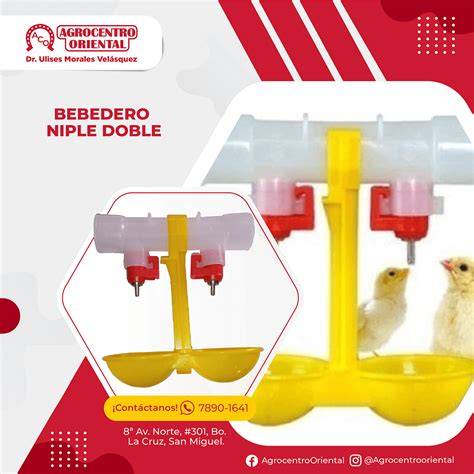 Bebedero de nipple para pollos