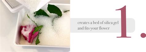 Flores sumergidas en gel de sílice en un recipiente hermético