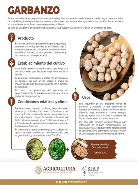 Origen y distribución del garbanzo