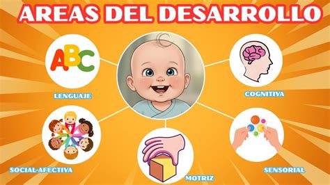 Diagrama que muestra las áreas de desarrollo del proyecto