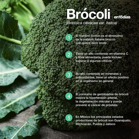 Infografía sobre la compatibilidad del brócoli con enfermedades renales
