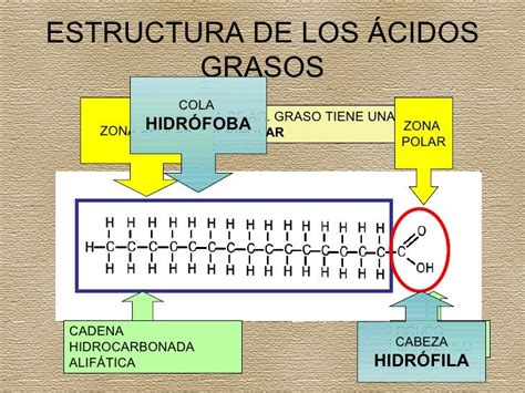 Composición de ácidos grasos de la manteca de cerdo