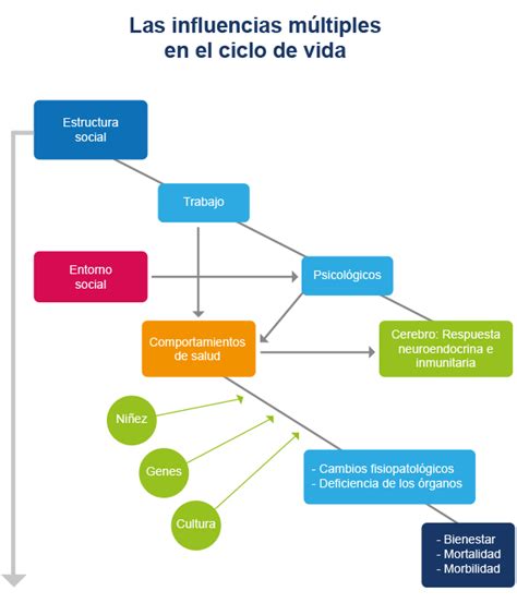 Esquema de las influencias en el diseño de Nathan Drake