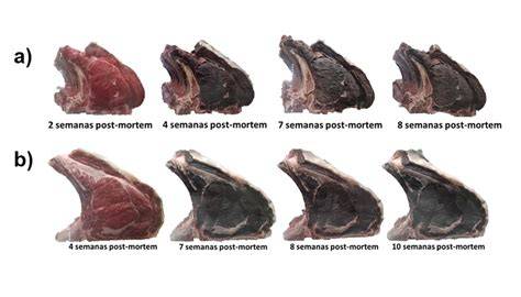 Esquema del proceso de maduración de la carne