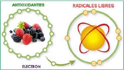 Ilustración de moléculas antioxidantes protegiendo células