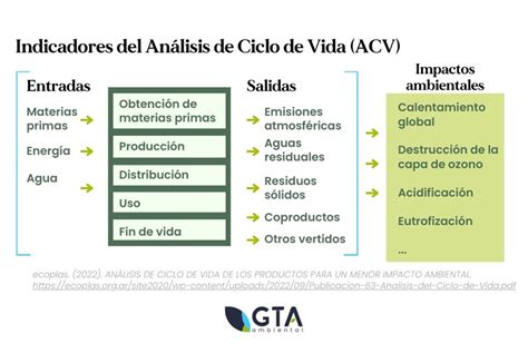 Ciclo de vida de las legumbres y su impacto ambiental
