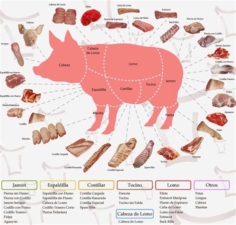Mapa de cortes del cerdo