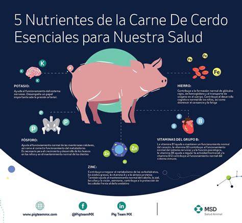 Nutrientes de la carne de cerdo