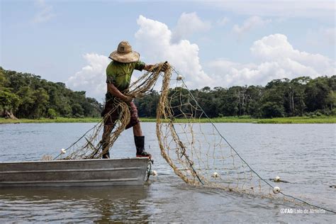 Pescador cebando una zona de pesca con maíz