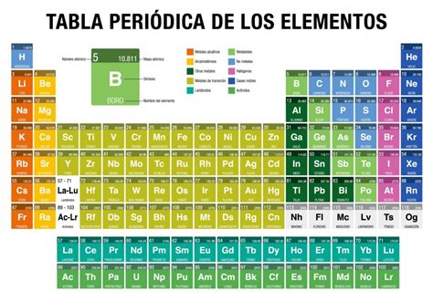 Esquema detallado de un Hair Rig con todos sus componentes