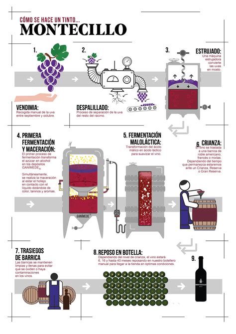 Vino en proceso de elaboración