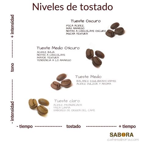 Esquema de las fases del tostado del café