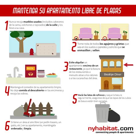 Esquema de cómo almacenar alimentos para evitar plagas