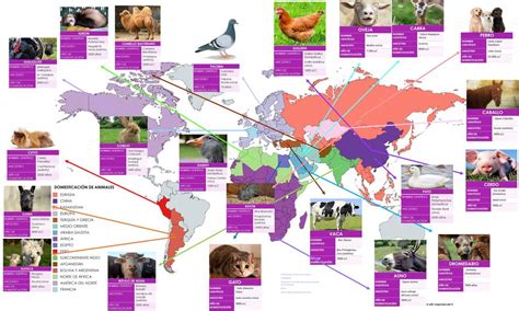 Mapa de la expansión de la domesticación de animales lecheros en el Neolítico