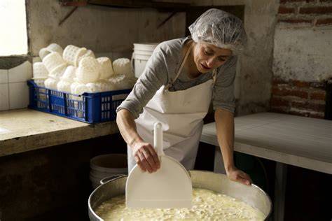 Proceso artesanal de elaboración de quesos italianos