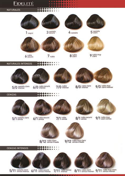 Carta de colores de tintes con numeración explicada