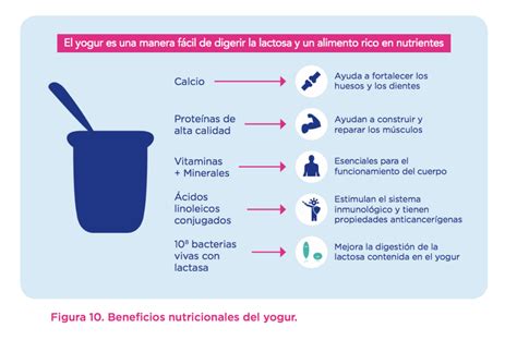 Yogur casero y sus beneficios