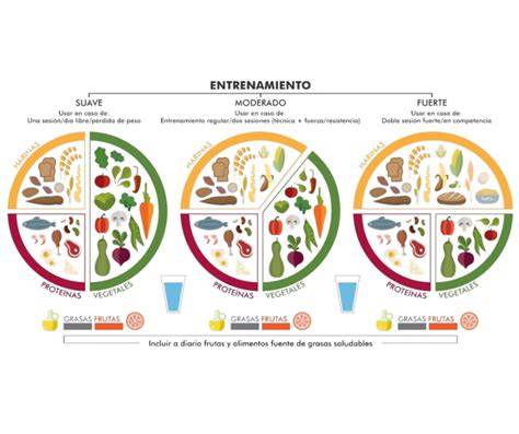 Gráfico circular de macronutrientes en una tortilla de huevo y atún