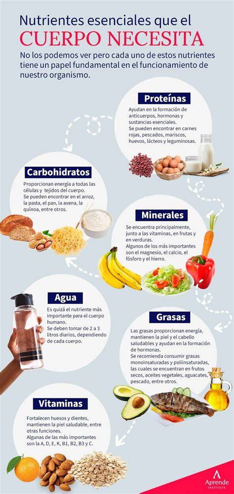 Infografía sobre los nutrientes esenciales presentes en el aceite de semilla de calabaza