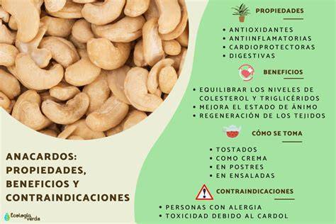 Ingredientes para veganesa de anacardo