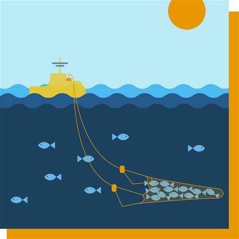Diferentes métodos de pesca