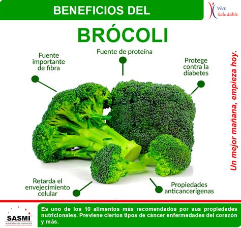 Representación de las propiedades anticancerígenas del brócoli