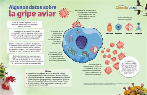 Infografía sobre la normativa de control de la gripe aviar en la UE