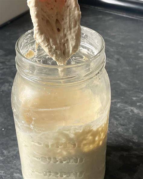 Masa madre sin gluten en un frasco