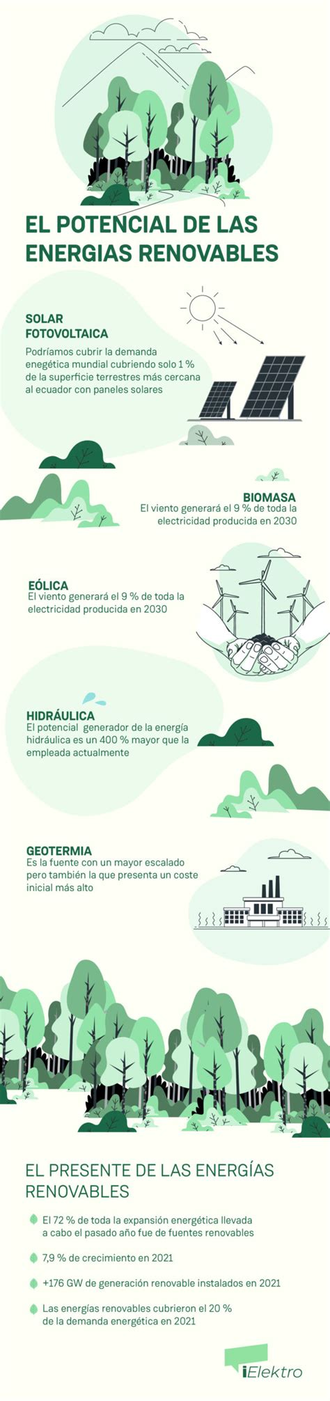 Infografía sobre el potencial probiótico de las levaduras en aceitunas