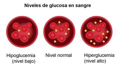 Gráfico de respuesta de glucosa en sangre